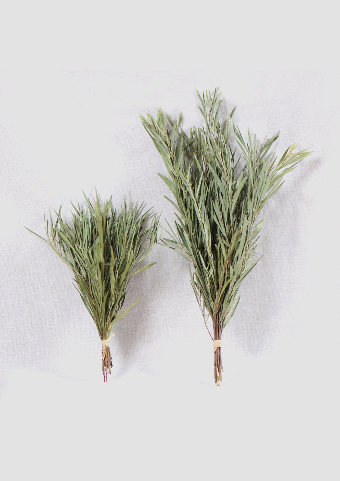 Natural High-Quality Dried Green Bamboo Leaves – Perfect for Crafts, DIY Projects, and Eco-Friendly Decor