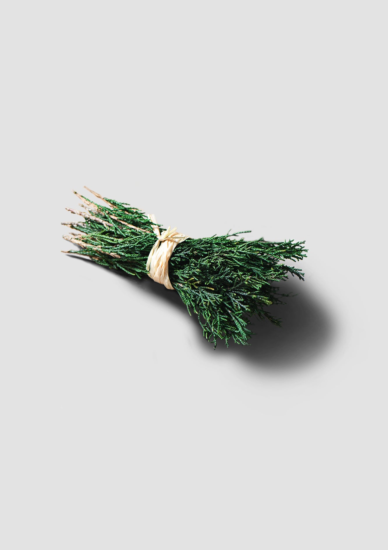 Natural High-Quality Dried Cypress Leaves – Ideal for Crafts, Floral Arrangements, and Rustic Home Decor