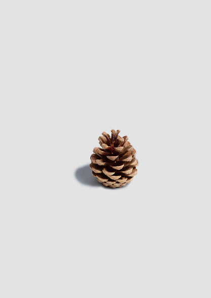 Bag of 12 Preserved Natural Spruce Dried Pine Cones – Perfect for Crafts, Rustic Decor, and DIY Projects