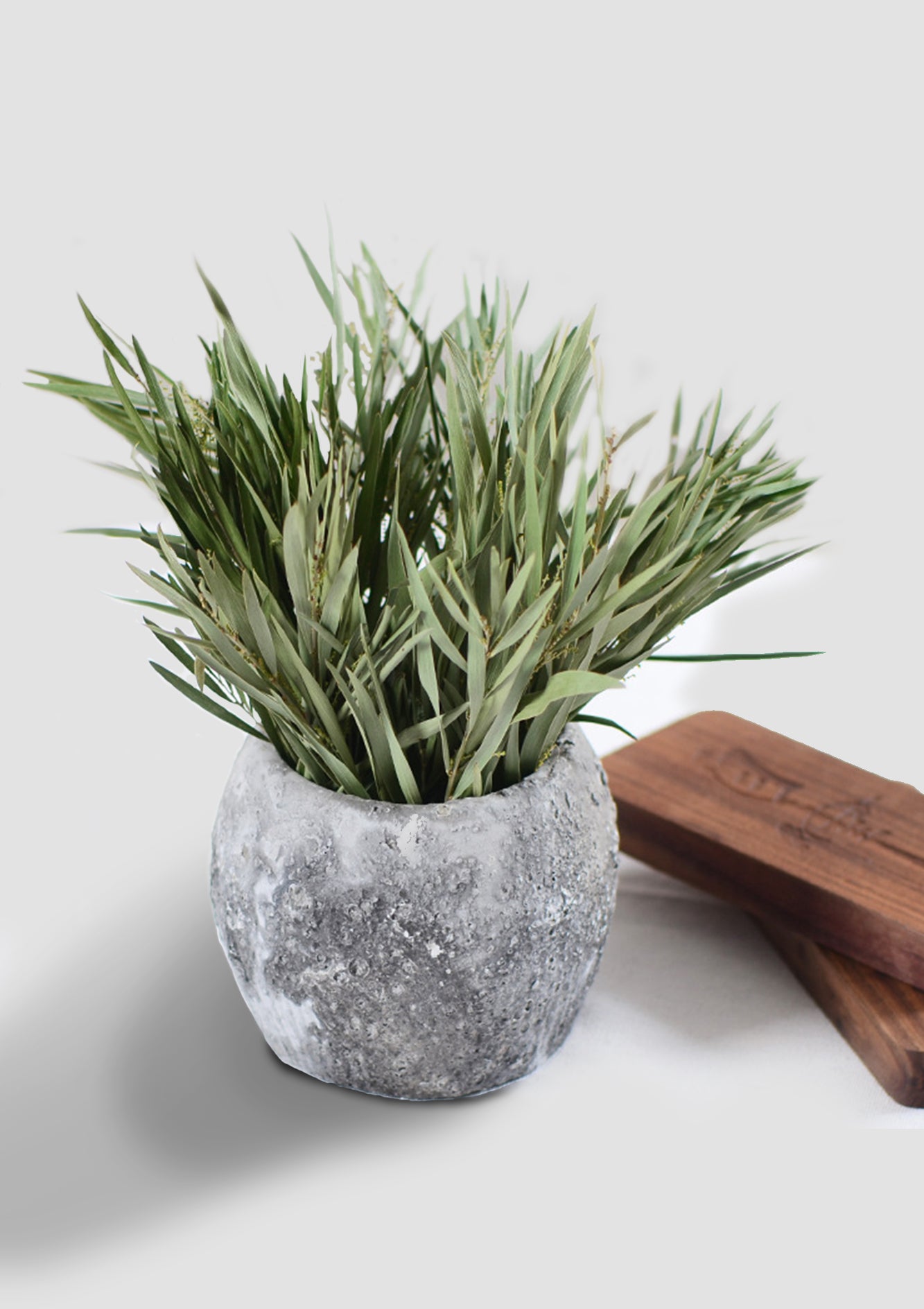Natural High-Quality Dried Green Bamboo Leaves – Perfect for Crafts, DIY Projects, and Eco-Friendly Decor