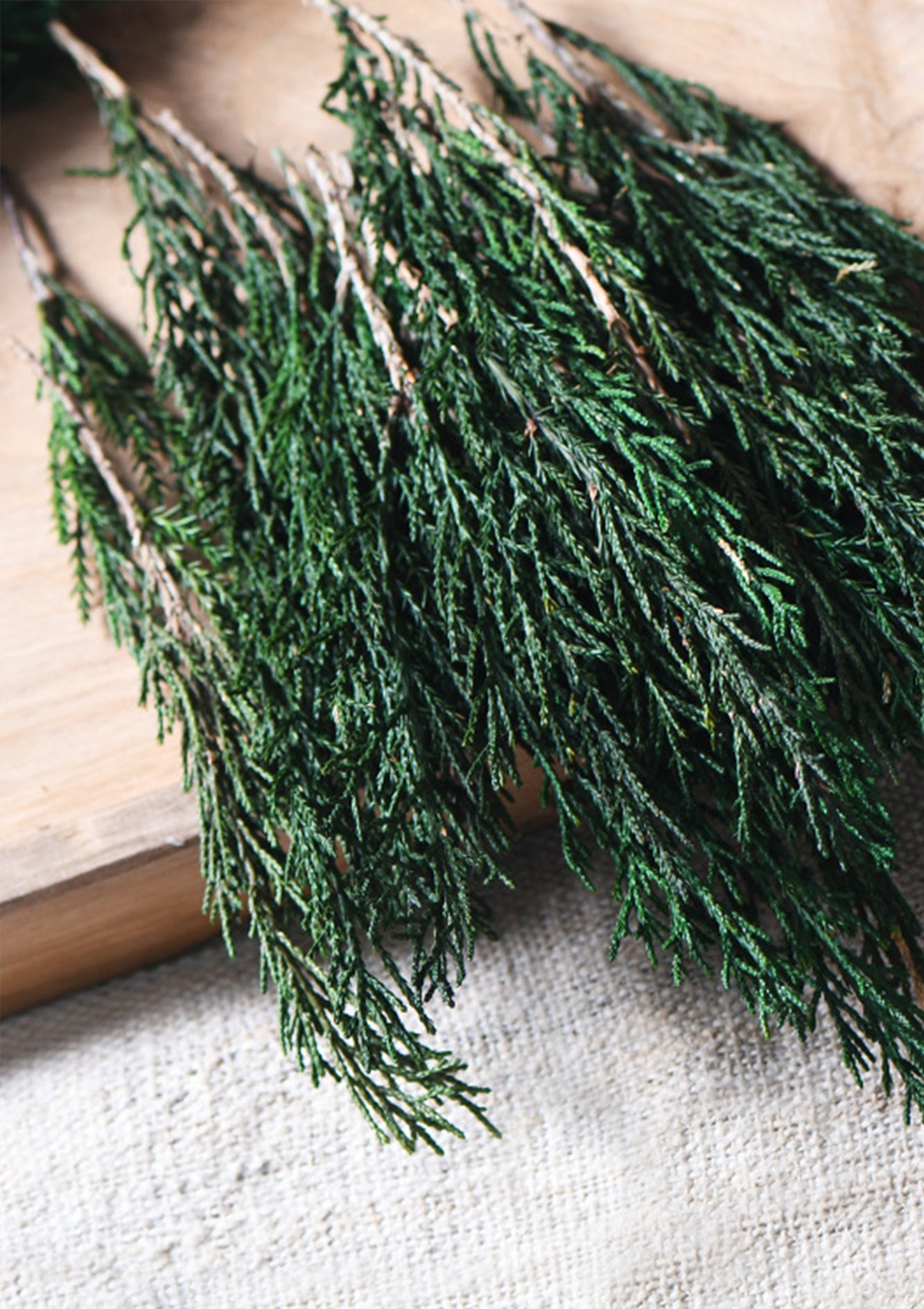 Natural High-Quality Dried Cypress Leaves – Ideal for Crafts, Floral Arrangements, and Rustic Home Decor