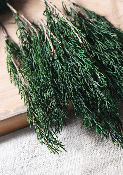 Natural High-Quality Dried Cypress Leaves – Ideal for Crafts, Floral Arrangements, and Rustic Home Decor